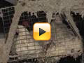 Cruelty to Hens at California's Gemperle Farms